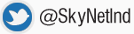 Skynet on Twitter